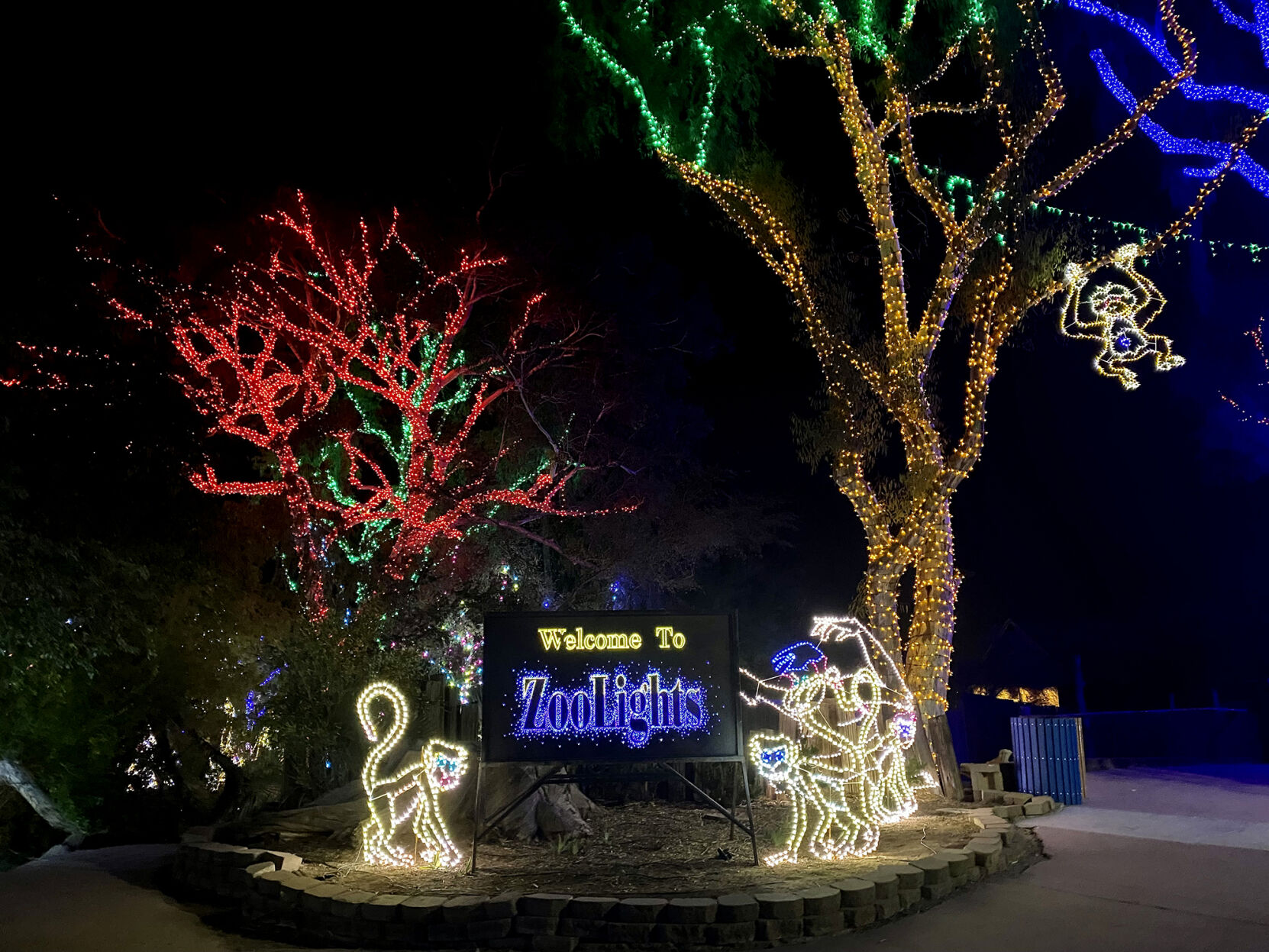 Holiday Guide: Zoolights